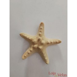 Estrela do mar 8cm