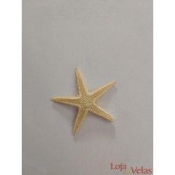 Estrela do Mar 3cm